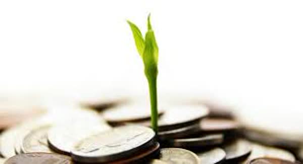 نگاهی به ماهیت و ارکان عقد مساقات
