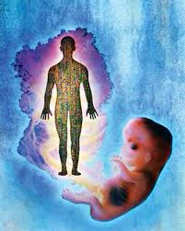 نسب ناشي از تلقيح مصنوعي