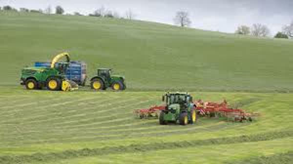 عقد مزارعه چیست به همراه انواع ماده های قانونی مربوط به آن